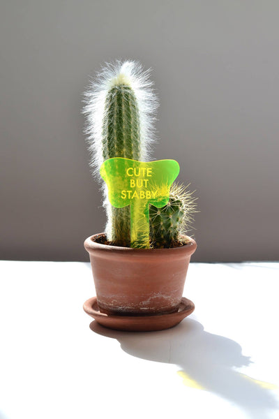 CUTE BUT STABBY Plant Stake