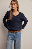 Sparkle V neck Knit Sweater