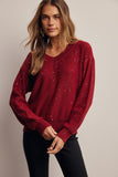 Sparkle V neck Knit Sweater