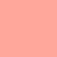 Mint + Rose • lip balm