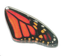 Butterfly Wing Earrings