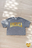 AMERICA FOIL Cropped Mineral Washed Graphic Top