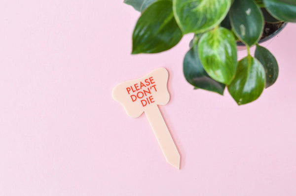 PLEASE DON'T DIE Plant Stake