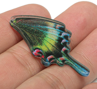 Butterfly Wing Earrings