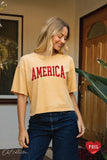 AMERICA FOIL Cropped Mineral Washed Graphic Top