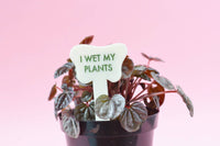 I WET MY PLANTS Plant Stake