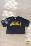 AMERICA FOIL Cropped Mineral Washed Graphic Top