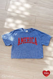 AMERICA FOIL Cropped Mineral Washed Graphic Top