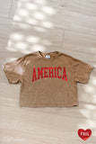 AMERICA FOIL Cropped Mineral Washed Graphic Top