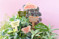 PLEASE DON'T DIE Plant Stake