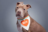 Brass Monkey BFF Dog Bandana