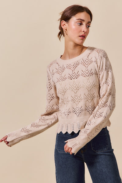 Pointelle Knit Long Sleeve Sweater Top