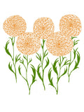 Marigolds Clover Crop Tee