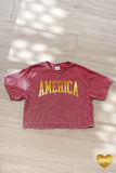 AMERICA FOIL Cropped Mineral Washed Graphic Top