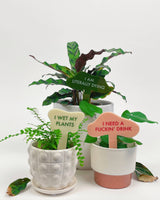 I WET MY PLANTS Plant Stake