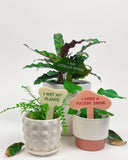 I WET MY PLANTS Plant Stake