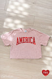 AMERICA FOIL Cropped Mineral Washed Graphic Top