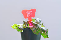 NEEDY LITTLE BITCH Plant Stake
